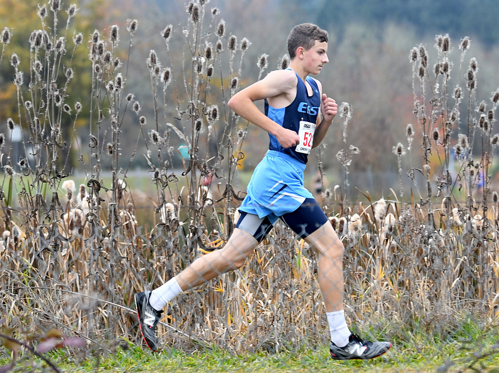 11-10-2019 1A2A3A Boys Cross Country 01